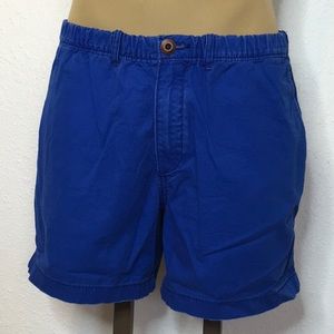 Hollister Co Preppy Fit Shorts in Blue